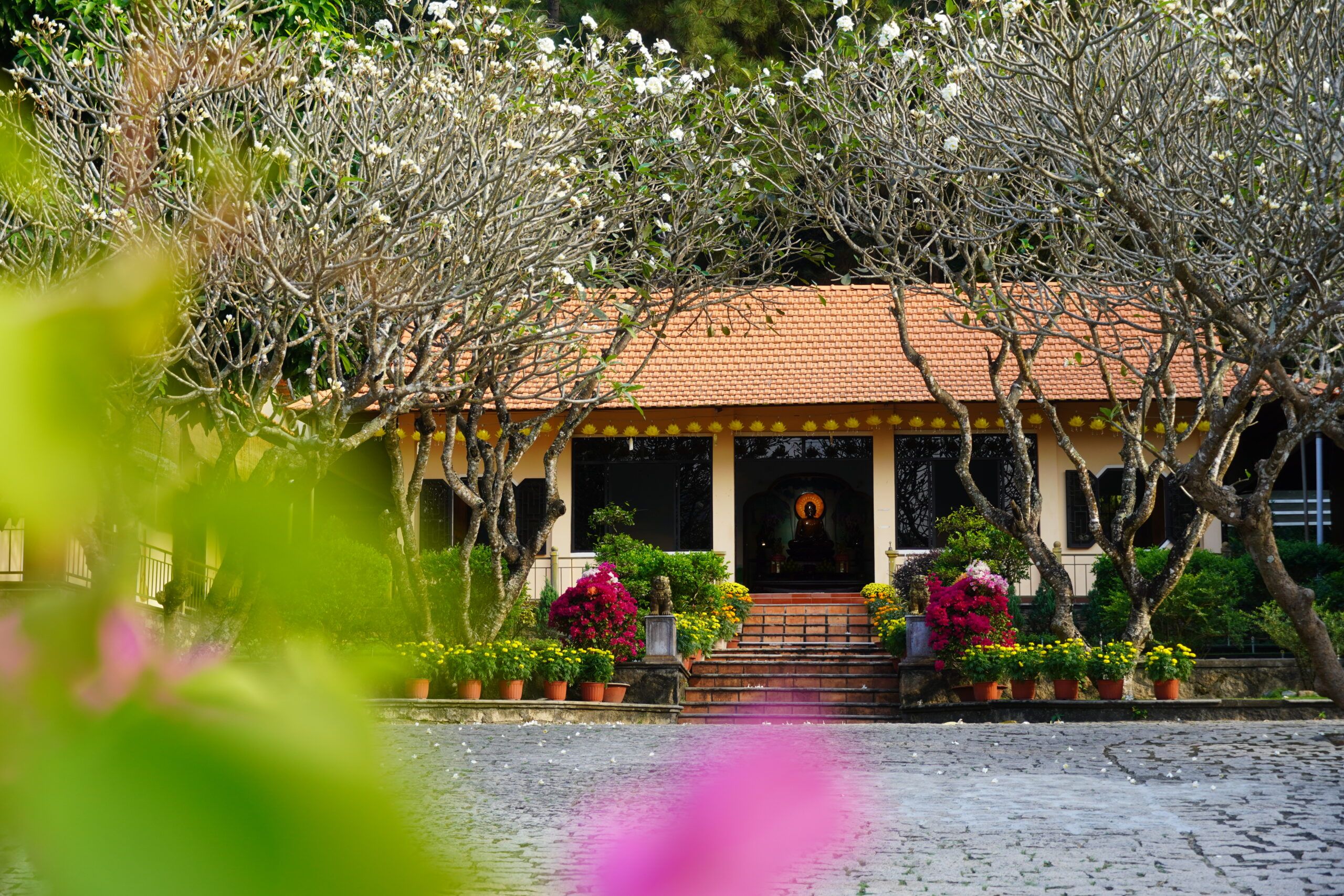 Chanh-Dien-1-scaled.jpg